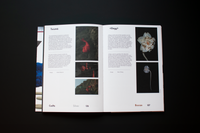 Henry van de Velde Awards 24 publicatie / publication (NL/EN)